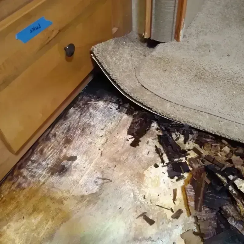 Wood Floor Water Damage in Lucas County, OH